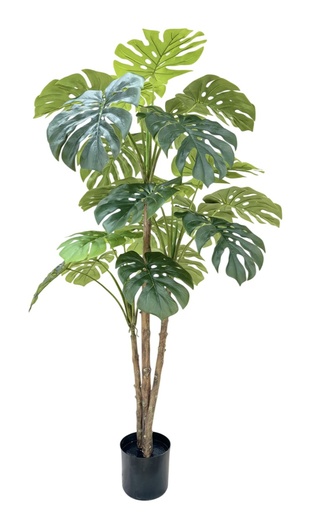 [99992] Planta de monstera, verde